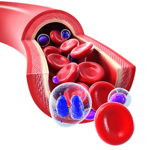A cutaway of a vein with blood cells moving through. Your hematocrit levels can rise as a result of Testosterone Replacement Therapy, but fortunately, there's a simple method of addressing the problem. Learn more.